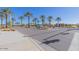 Picturesque street view with palm trees and desert landscaping, offering a tranquil and inviting community entrance at 1166 W Silver Creek Ln, Queen Creek, AZ 85140