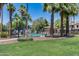 Fenced community pool area with lush palm trees and well-maintained grassy areas at 2941 E Darrow St, Phoenix, AZ 85042