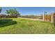 Lush green backyard featuring a well-maintained lawn and a view of the natural desert landscape at 29828 N 72Nd Ln, Peoria, AZ 85383