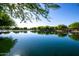 Community lake surrounded by mature trees and lush landscaping at 40010 W Ganly Way, Maricopa, AZ 85138