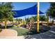 Community playground with shade structure, slide and climbing structure at 40010 W Ganly Way, Maricopa, AZ 85138