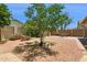 Large backyard with mature trees and a spacious area for relaxing and entertaining at 45042 W Cypress Ln, Maricopa, AZ 85139