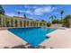Backyard pool with blue tile surrounded by mature landscaping and a privacy wall at 4532 E Sandra Ter, Phoenix, AZ 85032