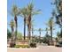 Upscale community entrance with flowering bushes and towering palm trees at 4700 S Fulton Ranch Blvd # 11, Chandler, AZ 85248