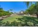 Expansive backyard featuring a manicured lawn, mature trees, and inviting pool, perfect for recreation at 6102 E Danbury Rd, Scottsdale, AZ 85254