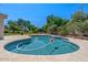 Sparkling backyard pool with a cleaner and beach ball surrounded by trees at 6102 E Danbury Rd, Scottsdale, AZ 85254