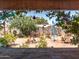 Lush backyard showcasing beautiful landscaping and desert flora at 8116 N 55Th Dr, Glendale, AZ 85302