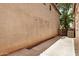 Exterior view of the stucco home and concrete backyard with block wall at 89 E Palomino Dr, Gilbert, AZ 85296