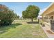 Landscaped backyard with a mature tree, green lawn, and partial view of home's exterior at 9802 N Balboa Dr, Sun City, AZ 85351