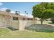 Backyard with mature citrus tree, green lawn, privacy wall, and glimpses of the home's exterior at 9802 N Balboa Dr, Sun City, AZ 85351