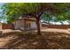 Large tree in the backyard provides ample shade, creating a cool outdoor space at 10408 W Miami St, Tolleson, AZ 85353