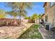 Landscaped backyard with rock accents, mature trees, and privacy fencing at 11965 W Monte Vista Rd, Avondale, AZ 85392