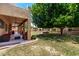 Backyard featuring a covered patio, well-manicured lawn, and mature shade trees at 13324 W Annika Dr, Litchfield Park, AZ 85340