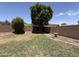 A spacious backyard with mature trees and a stone bench is enclosed by a brick wall for privacy at 16784 W Polk St, Goodyear, AZ 85338
