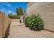 Backyard showcasing a brick patio, lush greenery and desert landscaping at 19230 N 5Th St, Phoenix, AZ 85024