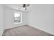 Neutral bedroom with plush carpeting, ceiling fan, and a single large window at 25726 W Burgess Ln, Buckeye, AZ 85326
