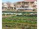 Rows of crops in a garden with houses in the background at 3037 E Hobart St, Gilbert, AZ 85296