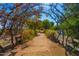 Charming walkway through an archway of trees and foliage in a garden-like setting at 3037 E Hobart St, Gilbert, AZ 85296