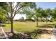 Expansive park view with lush green space, mature trees, and a serene residential backdrop at 3713 W Nancy Ln, Phoenix, AZ 85041