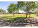 Lush park view showcasing mature trees, green lawns, and a sidewalk, perfect for leisurely strolls at 3713 W Nancy Ln, Phoenix, AZ 85041