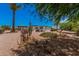 Desert landscaped backyard featuring desert vegetation and a covered patio at 506 S 81St Pl, Mesa, AZ 85208