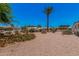 Desert landscaped backyard featuring desert vegetation and a covered patio at 506 S 81St Pl, Mesa, AZ 85208