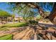 Community putting green area amidst desert landscaping featuring trees, cacti, and natural desert beauty at 10222 E Southwind Ln # 1018, Scottsdale, AZ 85262