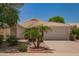 Charming single-story home with desert landscaping, palm trees, and a two-car garage at 10845 W Manzanita Dr, Peoria, AZ 85345