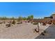 Spacious desert backyard with a rock garden, outdoor seating, and manicured landscaping at 10914 E Tarragon Ave, Mesa, AZ 85212