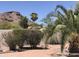 Landscaped backyard featuring desert foliage, rock, and brickwork against a mountain backdrop at 1502 E Estrid Ave, Phoenix, AZ 85022