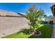 Serene backyard with artificial grass, desert landscaping, and shade for outdoor enjoyment at 16250 S 13Th St, Phoenix, AZ 85048