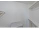 Walk-in closet features painted trim and shelving with neutral walls at 17441 N Del Webb Blvd, Sun City, AZ 85373