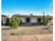 Attractive single-story home boasts desert landscaping with vibrant cacti and low-maintenance gravel at 17441 N Del Webb Blvd, Sun City, AZ 85373