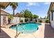 Sparkling private pool is surrounded by lush landscaping, creating a serene backyard oasis at 17664 W Marshall Ln, Surprise, AZ 85388