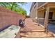 Large, open backyard offers a blank canvas for all your landscaping dreams at 2008 N Pablo Ct, Casa Grande, AZ 85122