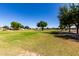 Expansive open field with mature trees offers a recreational and visually appealing community space at 2176 W Larissa Ln, San Tan Valley, AZ 85144