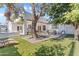 Expansive backyard featuring a lush lawn, mature trees, patio, and a refreshing swimming pool, ideal for outdoor entertaining at 2316 N 81St St, Scottsdale, AZ 85257
