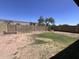 A spacious, empty backyard enclosed by a brick wall with a large tree visible at 23833 N 36Th Dr, Glendale, AZ 85310
