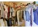 Organized walk-in closet with shelving and hanging space, providing ample storage solutions at 3128 W Belle Ave, San Tan Valley, AZ 85144