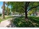 The community pool is surrounded by lush greenery and mature trees offering a refreshing oasis at 330 W Maryland Ave # 207, Phoenix, AZ 85013