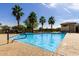 Community pool surrounded by palm trees, sun loungers, and lush landscaping, perfect for relaxation at 4548 S Renaissance Dr # 103, Gilbert, AZ 85297