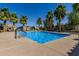 Resort-style community pool framed by palm trees, providing a tranquil setting and a place to unwind at 4548 S Renaissance Dr # 103, Gilbert, AZ 85297