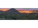 Picturesque mountain view at sunset, lined with swaying palm trees, creating a peaceful desert oasis at 10794 S Coolwater Dr, Goodyear, AZ 85338