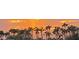 Picture of sunrise highlighting palm trees at 10794 S Coolwater Dr, Goodyear, AZ 85338