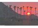 Picture of vibrant sunset behind a row of palm trees, silhouetting them against the colorful sky at 10794 S Coolwater Dr, Goodyear, AZ 85338