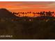 Scenic sunset view framed by palm trees and distant mountains, creating a tranquil ambiance at 10794 S Coolwater Dr, Goodyear, AZ 85338