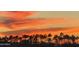 Captivating sunset view with layers of orange clouds over rows of palm trees, an everyday masterpiece at 10794 S Coolwater Dr, Goodyear, AZ 85338