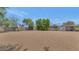 Large backyard area with mature trees and a metal structure at 12682 N 80Th Pl, Scottsdale, AZ 85260