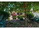 Single story home featuring desert landscaping with flowering bushes and a tree in the front yard at 13034 W Krall Ct, Glendale, AZ 85307