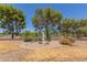 Well-maintained backyard garden featuring a statue, cacti, and drought-resistant plants enhancing the landscape at 132 W Wood Dr, Phoenix, AZ 85029